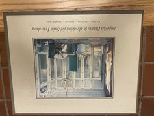 Imperial Palaces In The Vicinity of Saint Petersburg 4 Volume Set In Box picture