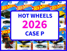 HOT WHEELS 2026 Mainline P Case U-PICK Updated on 9/15 picture
