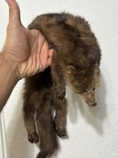 Vintage Beautiful & Soft Mink Fur Pelt Skin 27’’ Long picture