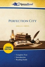 Perfection City (Cram Edition) by Adela E. (Adela Elizabeth Rich Orpen Paperback picture