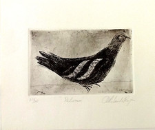 Agustín Rolando Rojas. ETCHING.Paloma. 22/25. Papel. SIGNED. Great Cuban Master picture