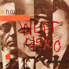 A House I Want To Much, Sire Records 1990 VG Condition 1-26204 picture