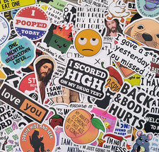 100 Pcs Funny Meme Stickers Pack Vinyl Decals Sarcastic Adult Humor Joke Lot picture