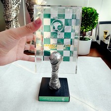 Arabian Gulf Cup Championship Trophy Saudi Arabia 12cm With Acrylic Display Case picture