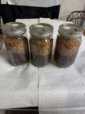 10 All in one mushroom grow jars 1 quart size jar, ten jars per pack picture