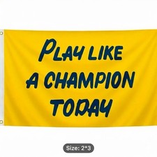 Play Like A Champion Today Banner Irish Football Flag WK picture