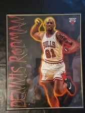 Vintage Dennis Rodman #91 Chicago Bulls HOFer 16 X 20 Framed Poster picture