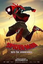 2018 Spider Man Into The Spiderverse Movie Poster 11X17 Miles Morales Parker 🍿 picture