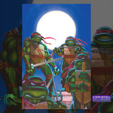 Teenage Mutant Ninja Turtles JOURNEYS #1 Peter Laird Virgin Variant /100 tmnt picture
