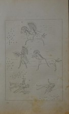 Antique 1840's Native American Decoration of Buffalo Robe of Mandan Chief picture