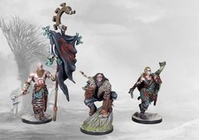 Conquest, Nords - Tactical Retinue picture