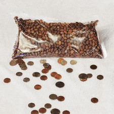 New Mexico Piñon Pine Nuts, 1lb Raw Pinon | Navajo Nation, Zuni Mountains picture