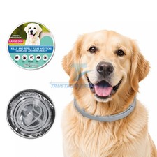 Dog collar Flea and Tick 8 Months Protections Adjustable Pet Collar for Dogs picture