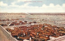Illinois Postcard Antique 1918 Union Stock Yards, Chicago, Cattle Pens  N picture