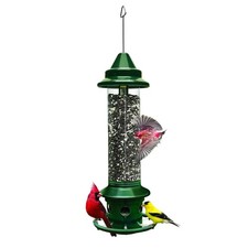 Brome Squirrel Buster Plus Bird Feeder with Perch Ring, 5lb Seed Capacity picture