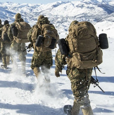 USMC FILBE Rucksack Set - Grade A - No Defects picture
