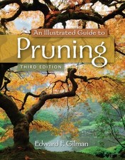 An Illustrated Guide to Pruning picture