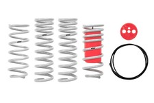 Eibach DRAG-LAUNCH Springs Set for Ford Mustang V8 GT Mach 1 79-04 New picture