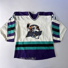 Vintage Orlando Solar Bears Allan Bester #30 Bauer Pro IHL Jersey 52 1990s picture