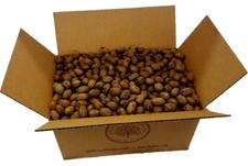 30 lbs Texas *Squirrel Grade* In Shell & Cracked Pecans Bulk | Millican Pecan picture