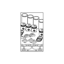 Inframe Engine Overhaul Kit Fits Case/International Harvester Models picture