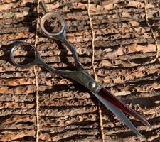 Arius Eickert 520200 Series Professional Hair Cutting Shears picture