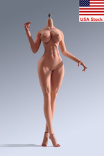 YM507 1/6 Female Suntan Large Breast Figure Muscle Body Flexible Detail Figure picture