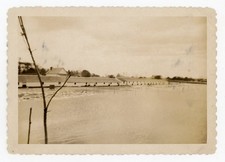 Vintage 1949 Long Island Duck Farm Photo Poultry Barns Farming Snapshot NY picture