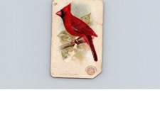 1880s-90s Arm & Hammer Beautiful Birds Cradinal Grosbeak No 36 picture