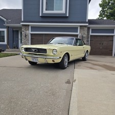 1966 Ford Mustang  picture