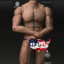 1/6 Worldbox AT027 Muscular Male 12