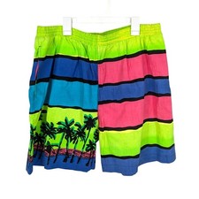 Vtg Pacific Scene Neon Striped Swim Trunks Tropical Y2K Palm Beach Retro XLarge picture