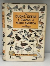 Vintage 1967 Ducks Geese And Swans Of North America Kortright Wildlife DJ HC picture