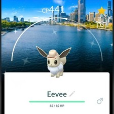 Shiny Eevee Safari Brisbane  2026 ✨Pokemon Go✨ picture