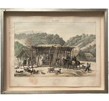 1854 Claudio Gay Color Lithograph Un Bodegon Historia de Chile Framed picture