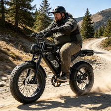 3000W Peak Electric Bike for Adults, 20