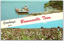 1968 Brownsville Tennessee TN Ferry & Cotton Pickers Curt Teich Vintage Postcard picture
