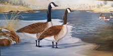 Original oil painting western wildlife Canada geese goose C Proebstel picture