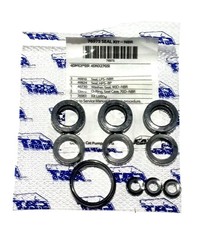 76975 SEAL KIT FOR CAT PUMP 4DNX Pumps 4DNX25GSI , 4DNX27GSI 4PPX25GSI, 4PPX30GS picture