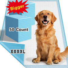 50/100PCS 32