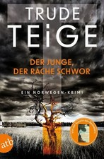 Buch: Der Junge, der Rache schwor, Teige, Trude, 2025, Aufbau Taschenbuch Verlag picture