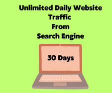 Targeted website traffic for 30 days - Drive Interested Buyers to your websites picture