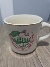  Vintage 1971 Shenandoah Area Council Camp Rock Enon Boy Scouts Mug Rare picture