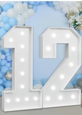 4FT MARQUEE NUMBER 12 LIGHT UP LETTERS  picture