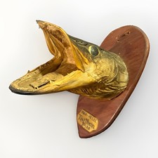 Vintage Folk Art Plaster Cast Fish Trophy Northern Pike Mount camp lodge decor picture