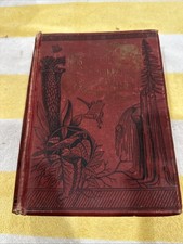 The Beautiful The Wonderful And The Wise By L. N. Chapin 1890 Vintage HC Book picture
