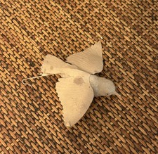 Antique German Spun Cotton Bird, Paper Wings, C. 1900 picture