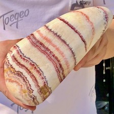4.79LB Large beautiful Natural Red striped Pork Stone Landscape mineral specimen picture