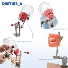 New Dental Simulator Mannequin Head Teeth Model Typodont Model &Teeth Mount Pole picture