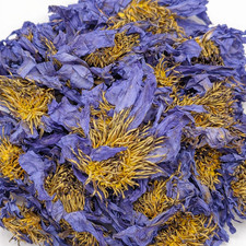 Egyptian Blue Lotus - Nymphaea caerulea - Organic Whole Flower - USA Shipping picture